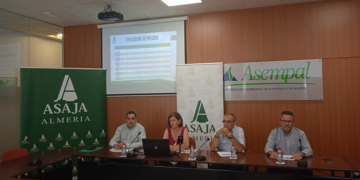 Spagna: in Almería è allarme sul valore della produzione orticola